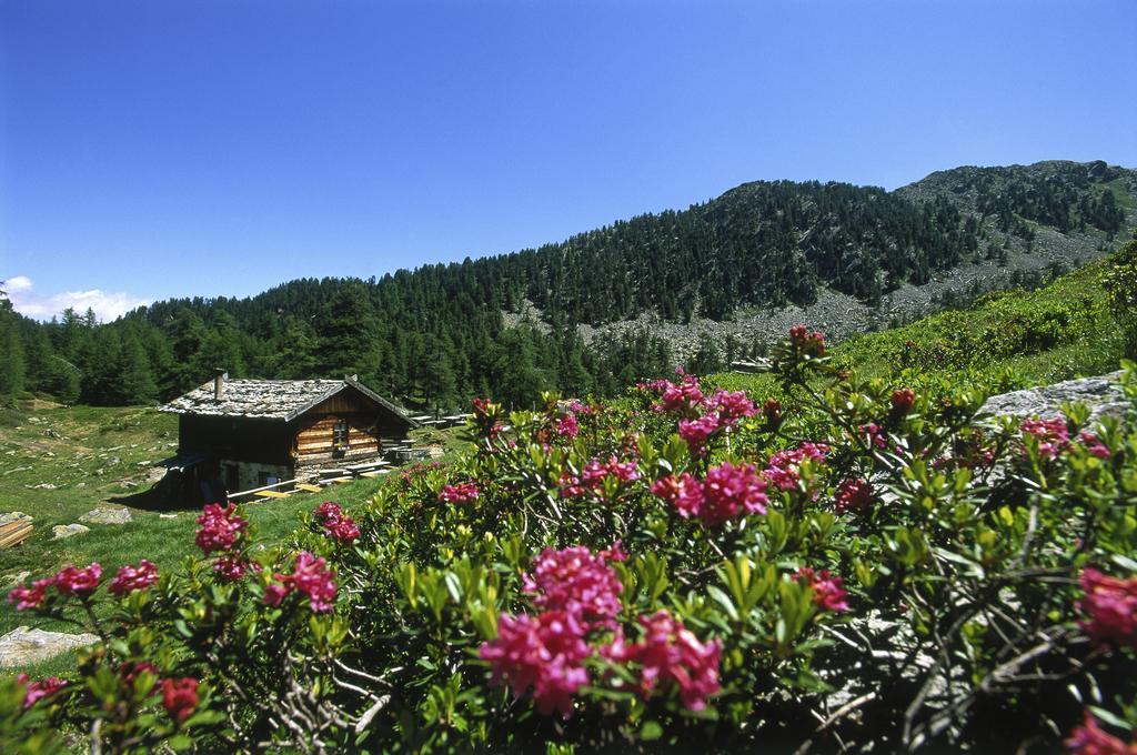 Residence Feldhof Castelbello Exterior photo